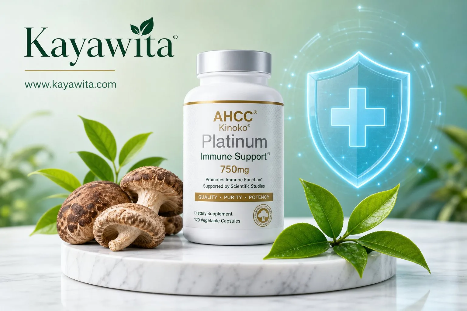 قرص AHCC چیست؟ خواص، درمان زگیل تناسلی (HPV) و نحوه مصرف